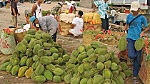 Prices may kind of fruits goes up