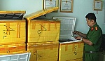 Bắt giữ lô hàng thuốc tân dược không rõ nguồn gốc.