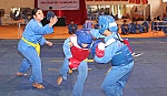 Hội Vovinam Tiền Giang tổ chức tập huấn chuyên môn