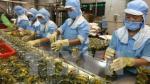 Food processing holds good investment prospects