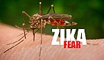Những điều cần biết về nhiễm virus Zika ở trẻ em