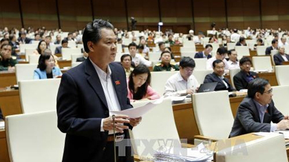 Deputy Truong Minh Hoang of Ca Mau province speaks at the working session on November 2.