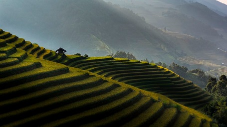 Căn lều ở Mù Cang Chải - Thitisak Watthano