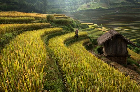 Hãy cứ đi - Sarawut Intarob