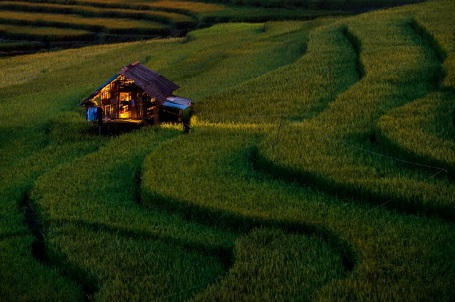 Về nhà (ảnh chụp ở Mù Cang Chải) - Sarawut Intarob