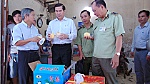 Chairman of the Provincial People's Committee inspects vegetables, fruit stores