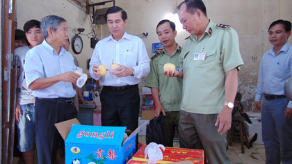 Chairman of the Provincial People’s Committee Le Van Huong (the second from left) checked fruit in the inspection.