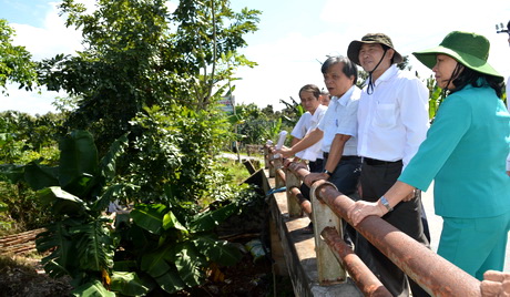 The Chairman of the PPC surveys Thu Cam canal in Ngu Hiep commune.