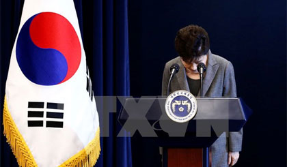 Tổng thống Park Geun-hye xin lỗi người dân trong bài phát biểu trực tiếp trên truyền hình về vụ bê bối chính trị liên quan đến người bạn thân Choi Soon-sil, tại Seoul ngày 29/11. Nguồn: EPA/TTXVN