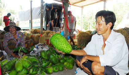 Mãng cầu Xiêm Tân Phú Đông là một trong những loại trái cây đặc sản được chọn để tái cơ cấu ngành Nông nghiệp.