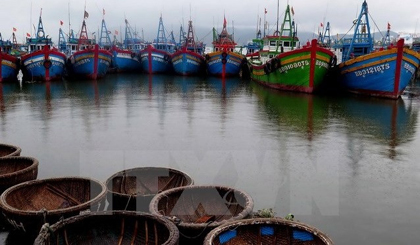 Boats take shelter in Quy Nhon city, central Binh Dinh province (Photo: VNA)