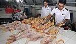Khuyến cáo người tiêu dùng không nên ham rẻ mua gia cầm trôi nổi