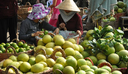 Fruit is one of strength point of Cai Be district. Photo: Huu Chi