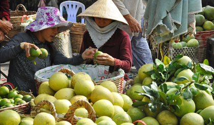 Bưởi lông Cổ Cò bày bán tại chợ An Hữu.