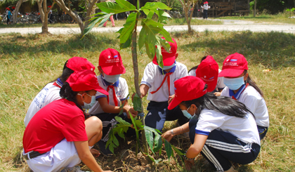 Học sinh trồng cây xanh trong khuôn viên trường.