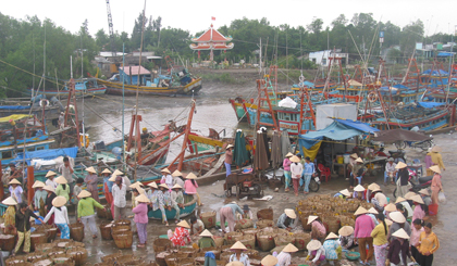 At Vam Lang fishing port. Photo: Huu Chi