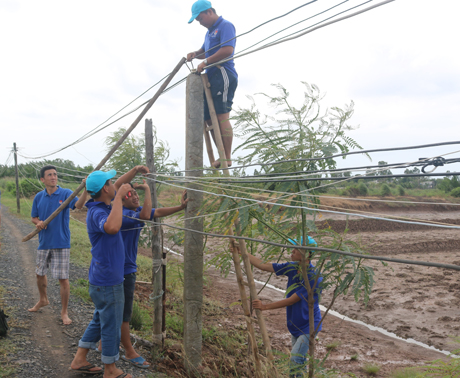 TNTN Trường Đại học Tiền Giang thực hiện công trình nâng cấp 14 trụ điện, với chiều dài 3,5 km ở huyện Tân Phú Đông và huyện Gò Công Tây.