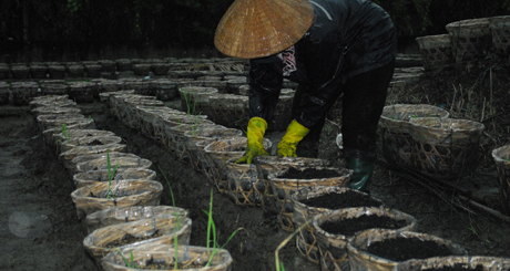 Chị Nguyễn Thị Ngọc Kiều 