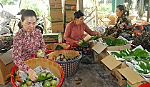 Thêm động lực khôi phục vùng trái cây đặc sản