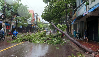 Storm Damrey blasted Quy Nhon city when it made landfall in central Vietnam in November this year. (Credit: NDO)