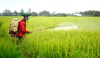 Hội Nông dân các cấp tích cực vận động hội viên, nông dân tham gia các mô hình kinh tế tập thể.