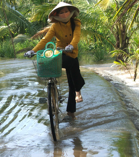 Triều cường cũng thường xuyên xảy ra trên địa bàn Tiền Giang.