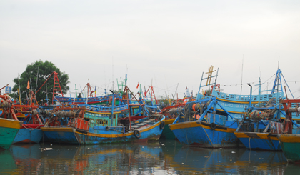 Tàu thuyền vào khu neo đậu tránh trú bão ở Vàm Láng.