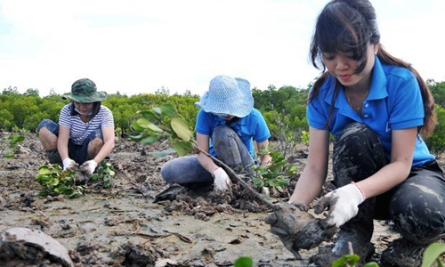 Youth planting trees in a protection forest in Can Gio district, Ho Chi Minh City (Photo: VNA)