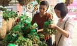 More trade activities needed to promote longan consumption