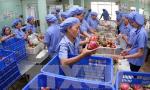 Vietnam may earn 4.7 billion USD from fruit,  vegetables exports in 2018