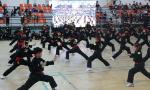 Ho Chi Minh City opens fifth int'l martial arts festival