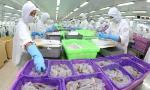 Seafood exports likely to fall short of 10 billion USD target