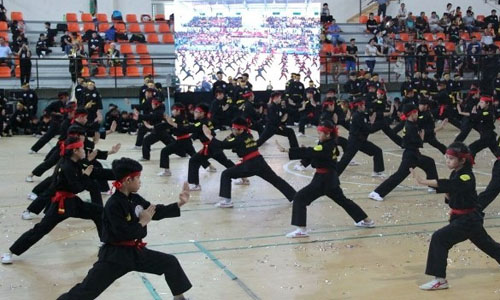  A mass performance at the opening ceremony of the fifth HCM City International Traditional Martial Arts Festival on July 23. (Photo: VNA)