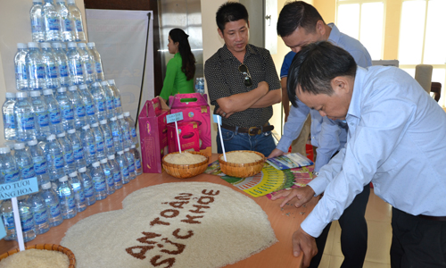 Sản phẩm nước khoáng thiên nhiên không ga Suối Xanh và gạo tươi an toàn của Tigifood được chính thức cung ứng  ra thị trường vào ngày 29-8.