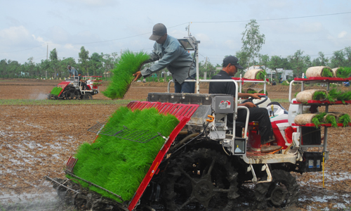 Máy cấy “3 trong 1” là một trong những giải pháp kỹ thuật sẽ được đưa vào áp dụng trong Dự án Vùng sản xuất lúa ứng dụng công nghệ cao.                                                                            Ảnh: SĨ NGUYÊN