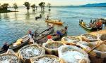 Mekong Delta in 