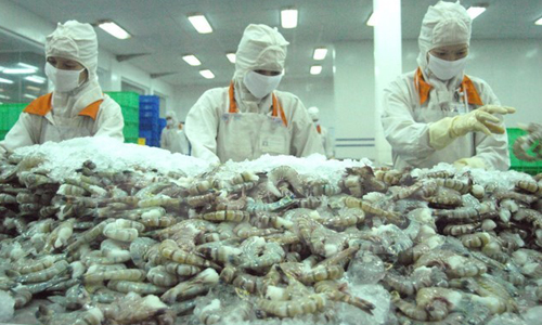 Shrimp processed for exports (Photo: VNA)