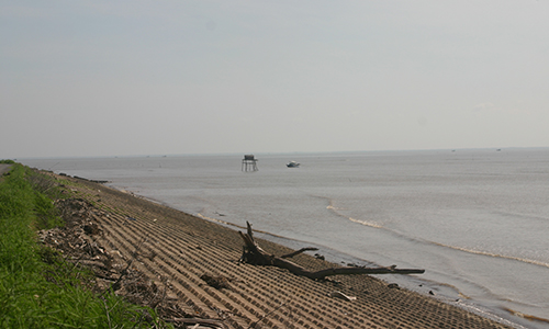 Go Cong dyke in Tan Thanh commune, Go Cong Dong district. Photo: N.HUU