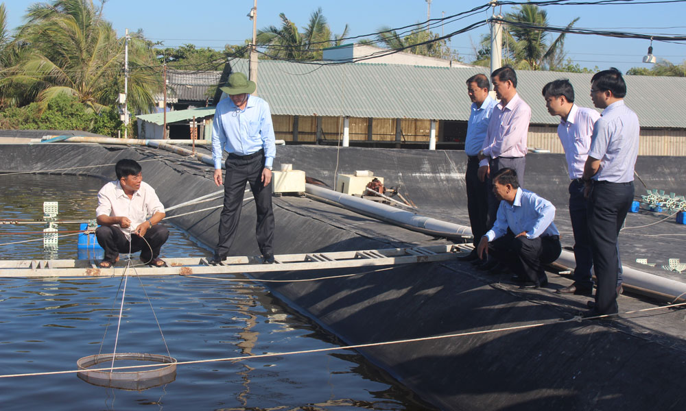 Chủ tịch UBND tỉnh Lê Văn Hưởng hộ ông Trần Văn Vinh (huyện Gò Công Đông) với mô hình nuôi tôm 2 giai đoạn.