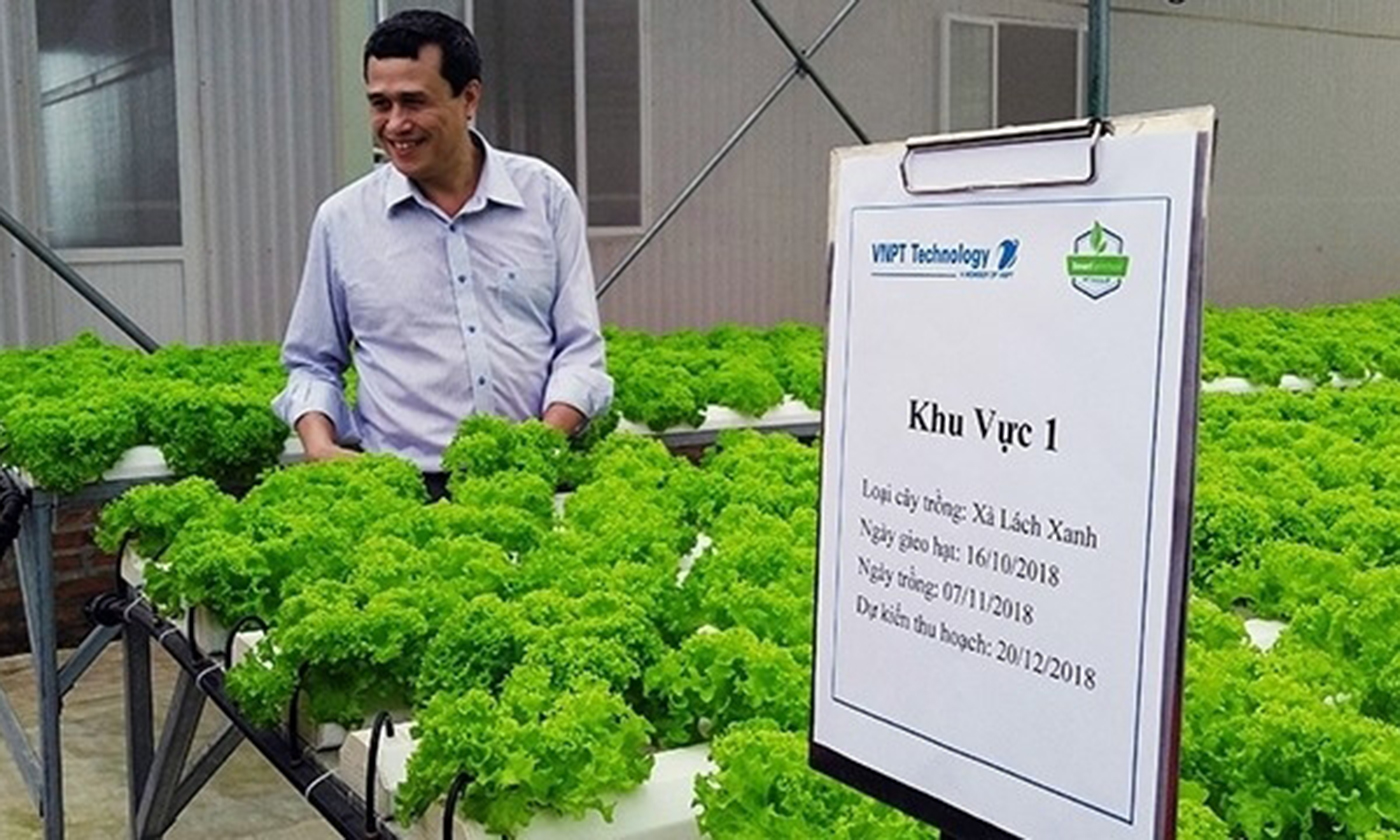 An agricultural crop cultivation model using smart solutions run by VNPT in Hanoi’s Hoa Lac Hi-Tech Park.