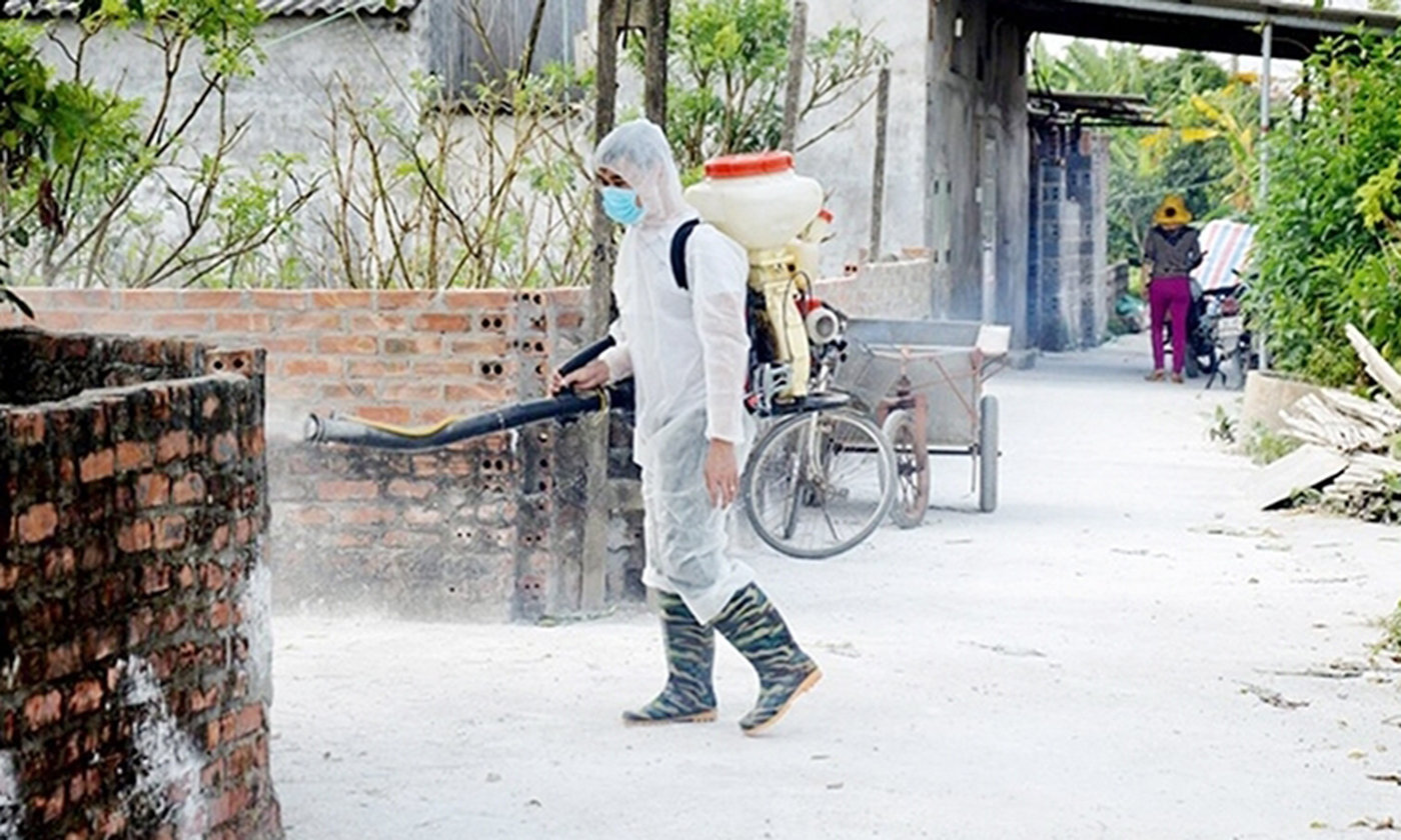 Vietnam is taking bold actions to contain the African swine fever. (Photo: NDO/Minh Phuc)