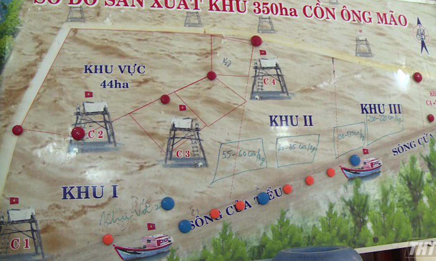 Map of planning clam breeding land in Go Cong Dong district. Photo: Viet Binh