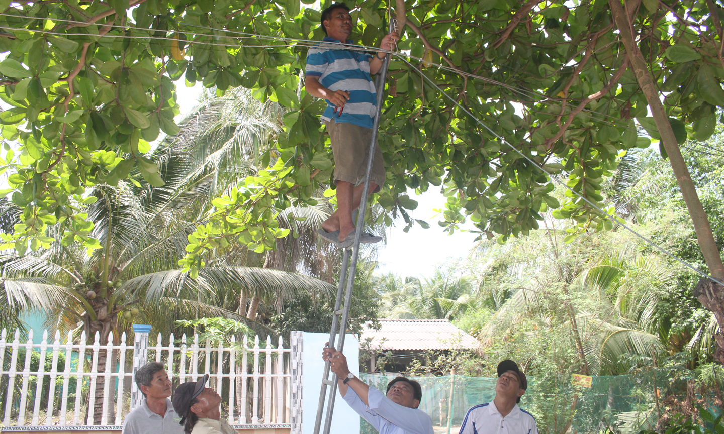 Cán bộ và nhân dân xã Bình Ninh kéo lại những đường dây điện không đảm bảo an toàn.