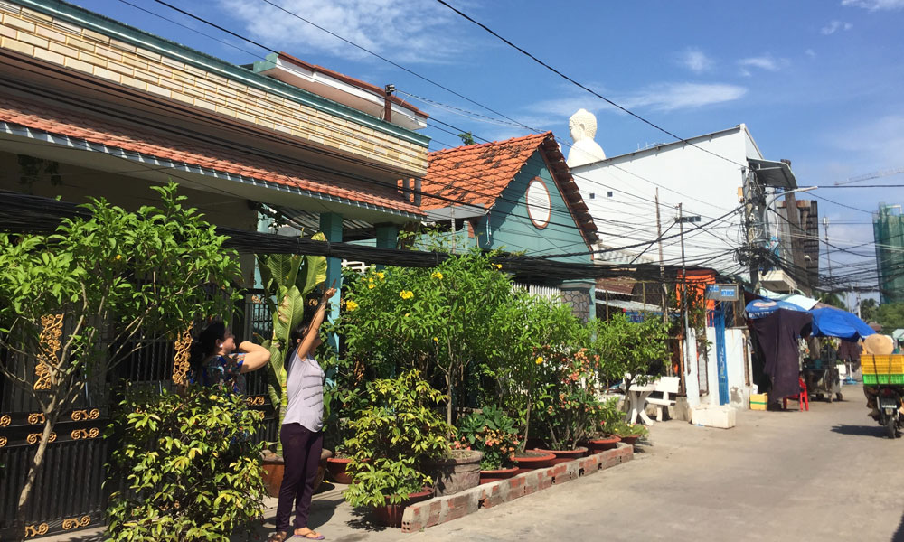 Dây điện ở ấp Mỹ An chằng chịt như mạng nhện.