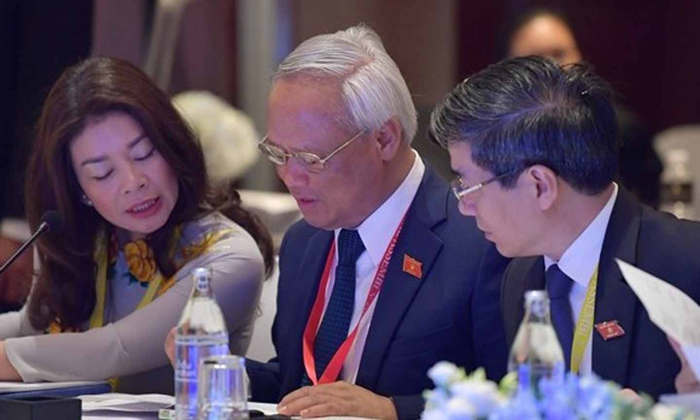 National Assembly Vice Chairman Uong Chu Luu (centre) (Source: VNA)