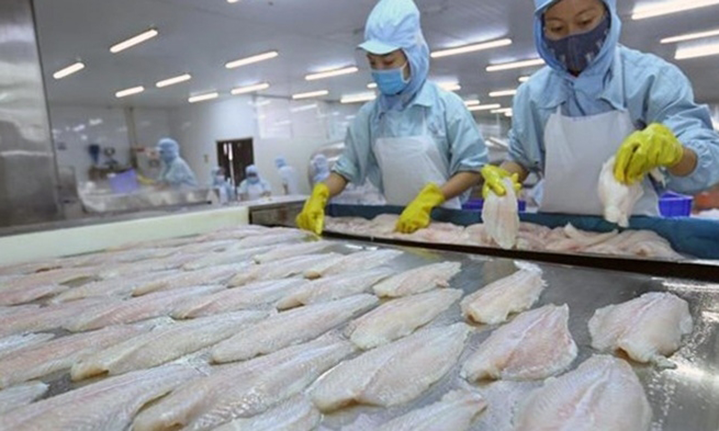 Malaysia was among the ASEAN countries posting the highest rise in import revenue of Vietnamese tra fish. (Illustrative image)