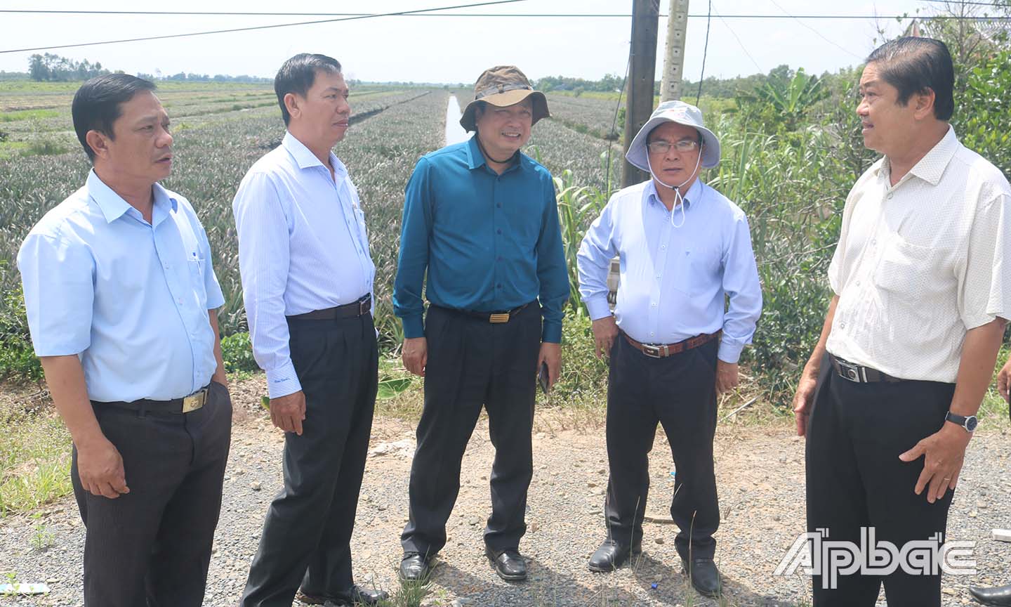 Đoàn Công tác đến kháo sát vùng canh tác khóm của huyện Tân Phước.