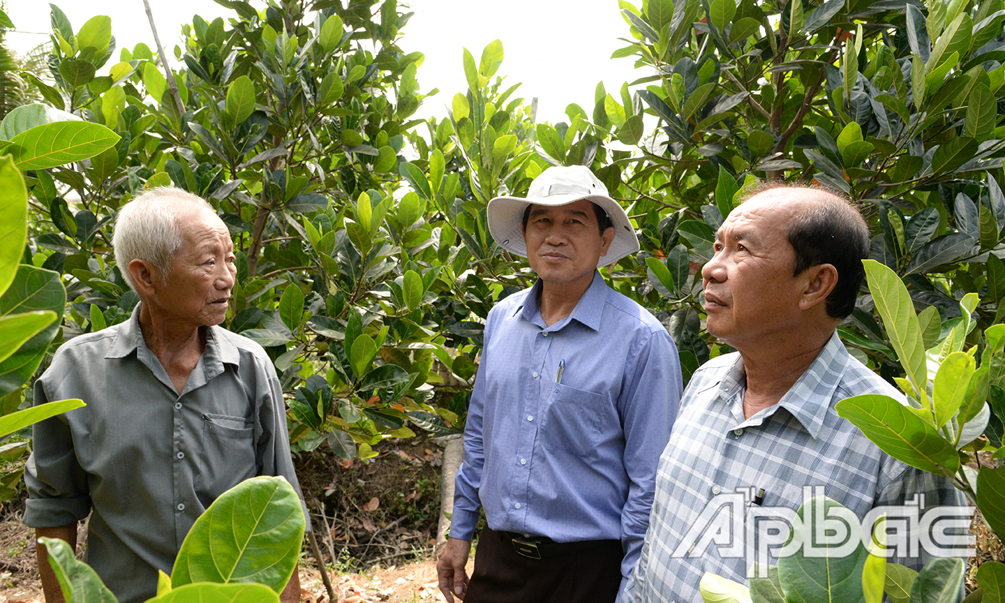 Đồng chí Lê Văn Hưởng rất vui mừng vì vườn cây ăn trái của ông Ngô Văn Tám còn xanh tốt do chủ động được nguồn nước.