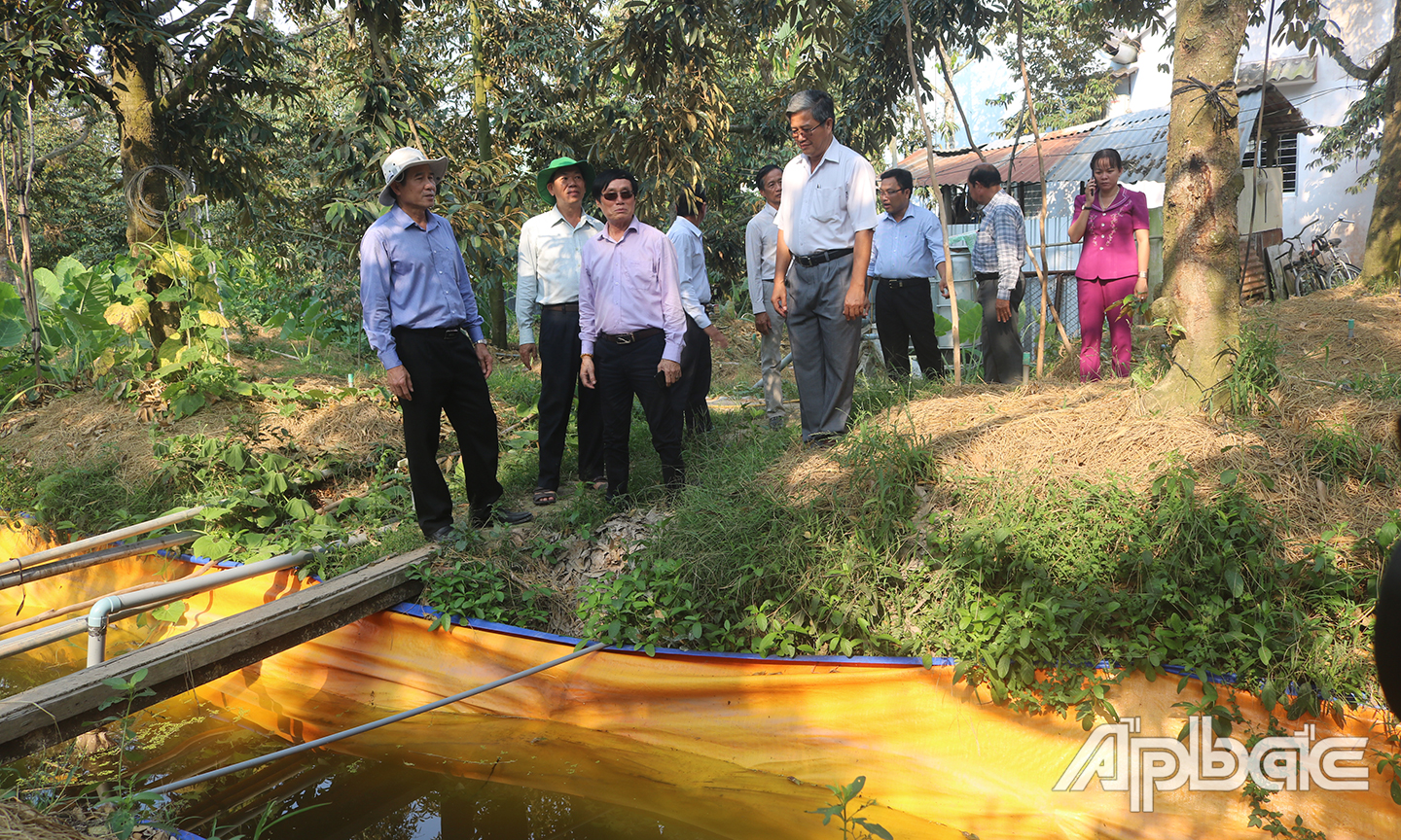Đồng chí Lê Văn Hưởng kiểm tra ao bạt chứa nước ngọt dự trữ phục vụ  tưới sầu riêng của hộ dân ở xã Ngũ Hiệp