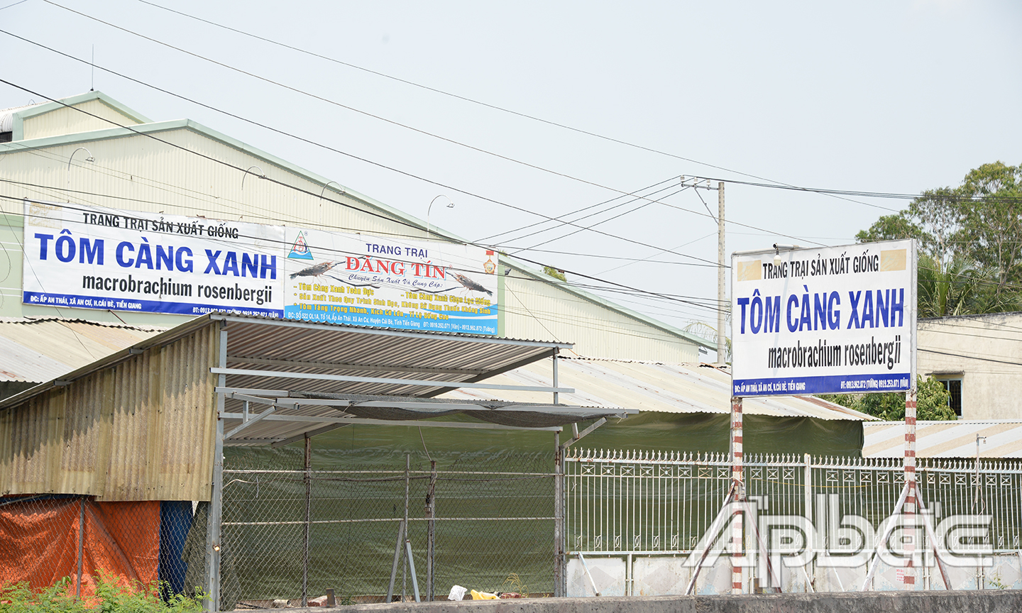 Phía trước của Trang trại sản xuất tôm giống Đăng Tín.